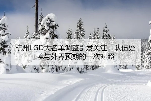杭州LGD大名单调整引发关注：队伍处境与外界预期的一次对照 - leyu